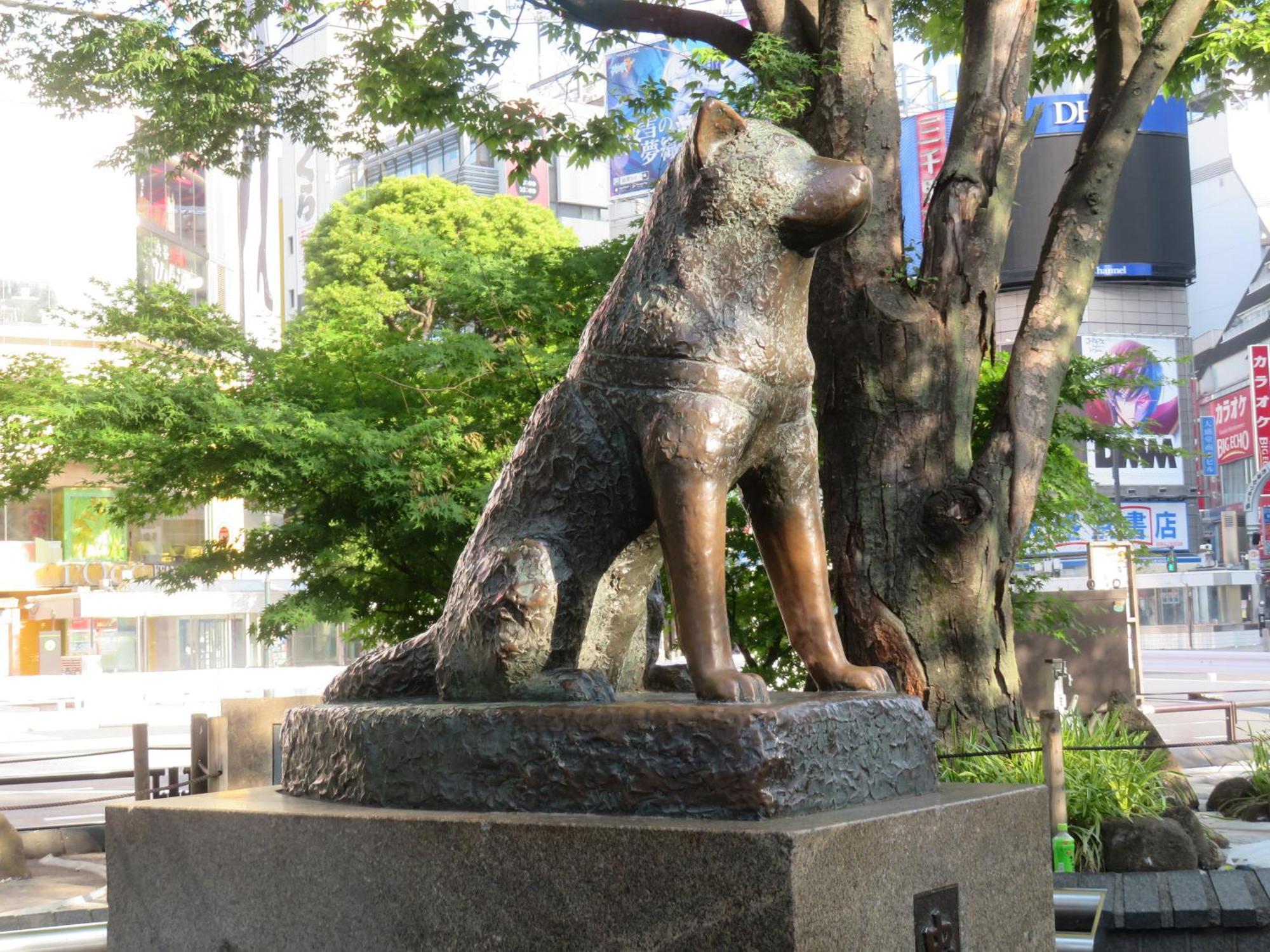 Apa Hotel Shibuya Dogenzakaue Tokyo Ngoại thất bức ảnh